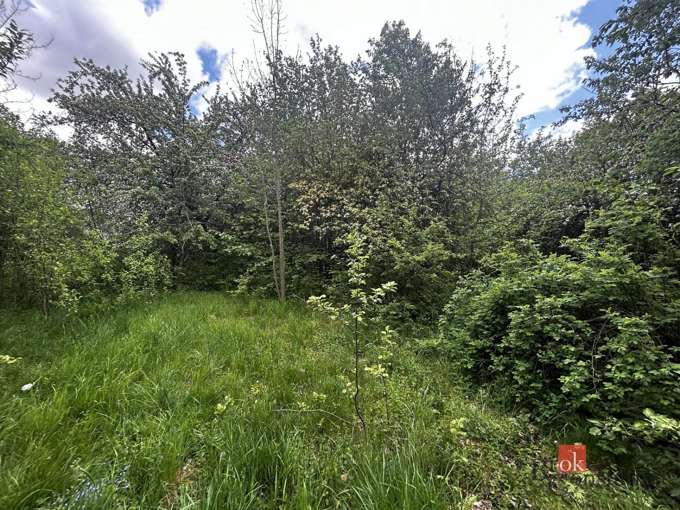 Prodej stavebního pozemku 1 588 m², Malinová